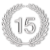 15aniversario-icon - Logo 15 Años en Plateado